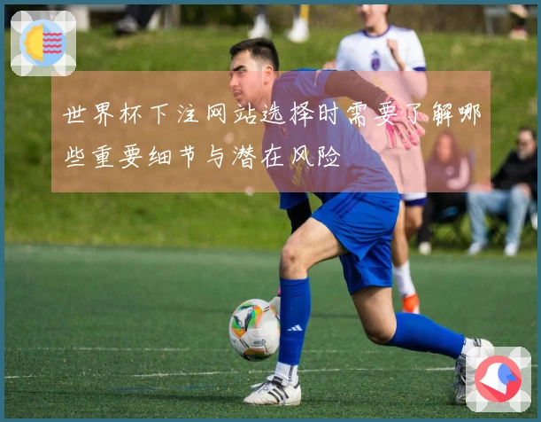 世界杯下注网站选择时需要了解哪些重要细节与潜在风险