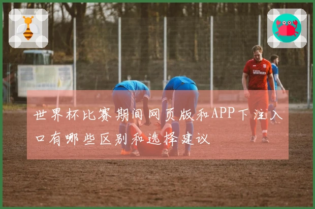 世界杯比赛期间网页版和APP下注入口有哪些区别和选择建议