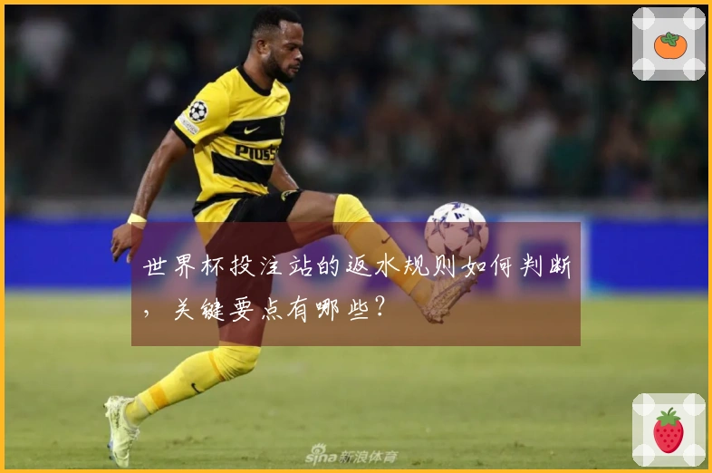 世界杯投注站的返水规则如何判断，关键要点有哪些？
