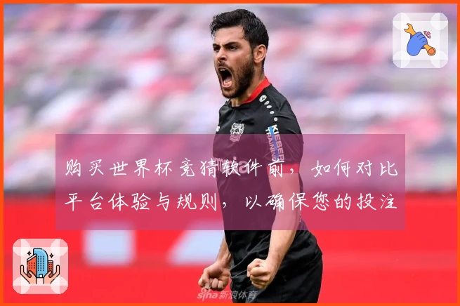 购买世界杯竞猜软件前，如何对比平台体验与规则，以确保您的投注安全？