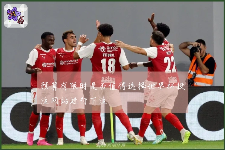 预算有限时是否值得选择世界杯投注网站进行下注